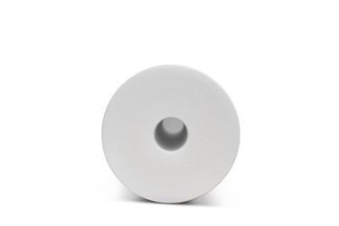 20 de Filterpatroon 508mm van het duim Grote Vette pp Sediment Lengte710g Gewicht leverancier